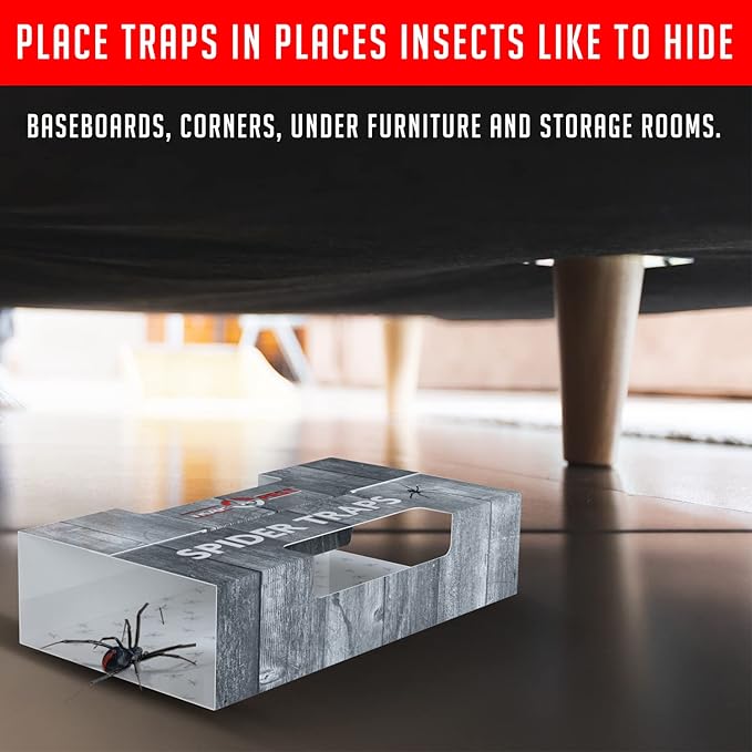 Spider Traps for Inside Your Home (30 Traps) - Spider Catcher Insect Traps Indoor - Spider Traps Indoor Bug Traps Sticky Traps for Spiders - Pre Baited Ultra Sticky Insect Glue Traps - Trap a Pest