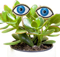 Tuitessine Resin Plant Eyes Stakes Set of 2, Eyeball Garden Plant Accessory, Evil Eye Plant Picks, Indoor Outdoor Plant Pot Decoration, Plant Lover, Plant Mom, Plant Lady Idea