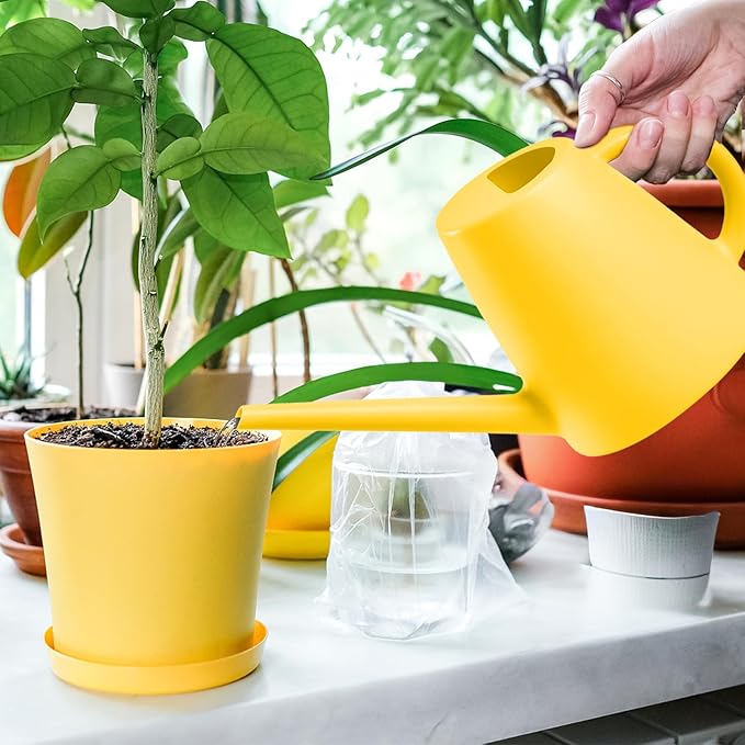 Indoor and Outdoor Watering Can - Long Spout -1/2 Gallon (64oz) - Yellow