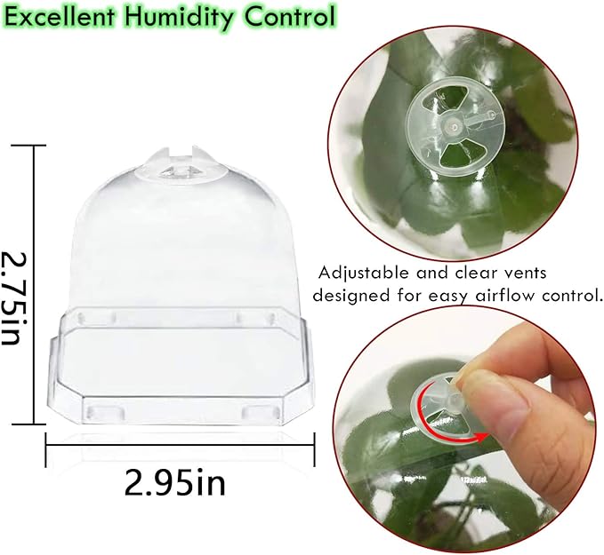 PURPLE STAR 1N 30 Packs Plant Nursery Pots with Humidity Dome, Small Gardening Pots, Square Planting Containers Cups for Succulents Seedlings Cuttings Transplanting