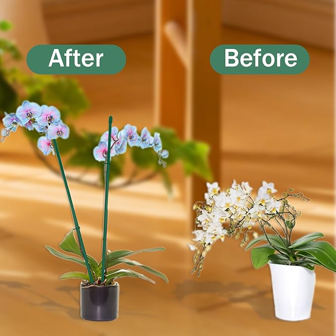 35 Pcs Plastic Plant Support Stakes Kit - 10 Stakes (30cm/12in), 20 Clips & 5 Links Adjustable Plant Support Sticks for Indoor Outdoor Garden Potted Rose Tomato Vegetables