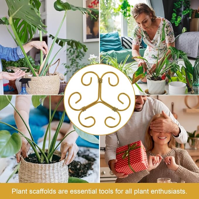 5 Pack Plant Stem Support Set, Reusable Iron Plant Stakes for Indoor Plants, Plant-Support-Stakes for Thriving Growth(Color:Gold)