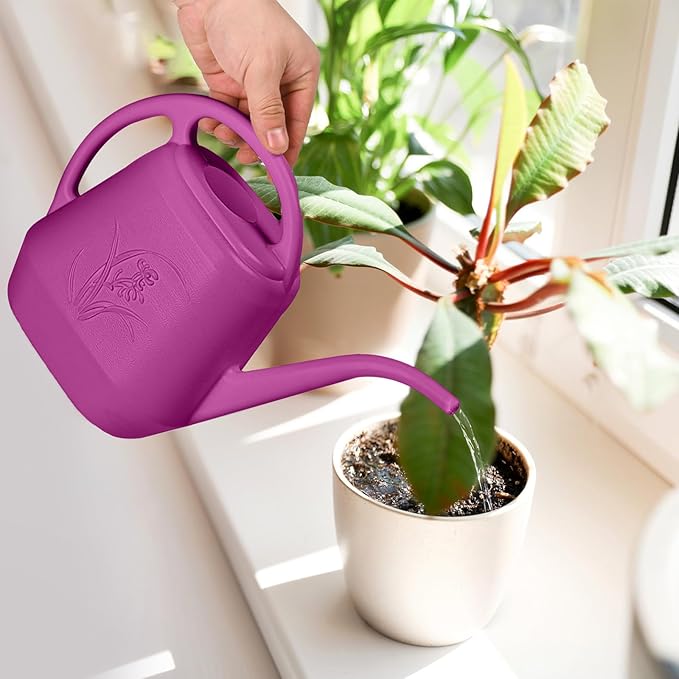 ZXJ Plant Watering Can - for Indoor and Outdoor Home Garden Plants - with Long Spout - Rose Red - 1/2 Gallon