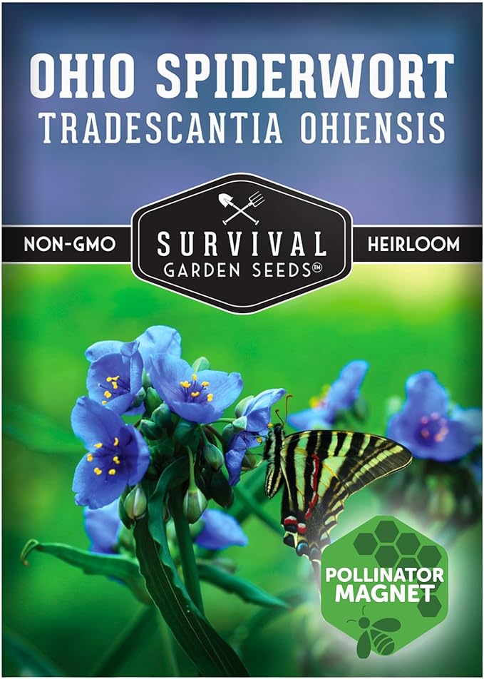 Survival Garden Seeds - Ohio Spiderwort (Tradescantia ohiensis) | Blue Three-Petaled Blooms | Shade Tolerant Native Plant | North American Wildflower - 1 Pack