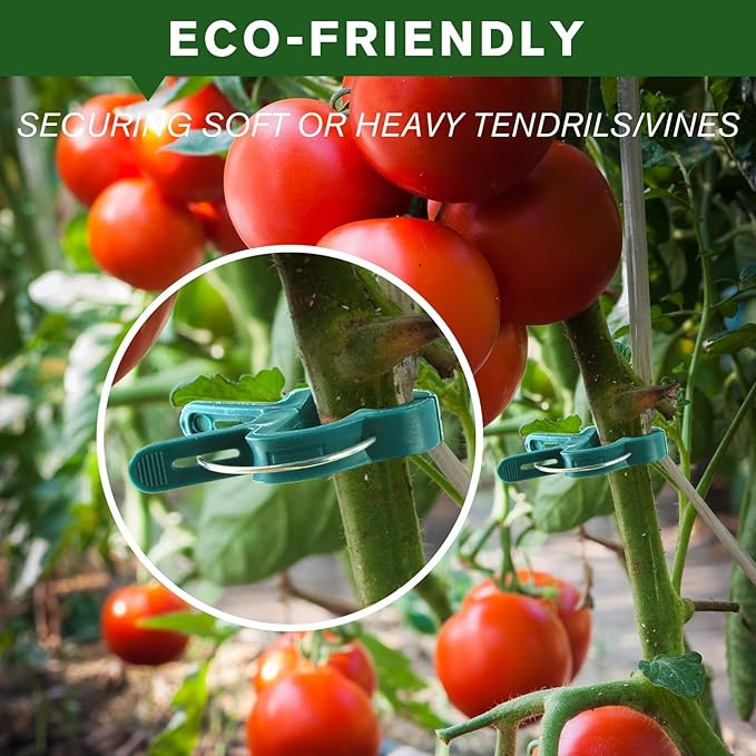 Plant Clips for Climbing Plants, Tomato Clips and Garden Clips for Vine Support, Plant Support Clips for Tomatoes and Garden use (Green, 120small)
