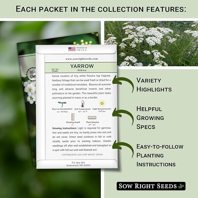 Sow Right Seeds - Common White, Gold & Red Yarrow Seeds for Planting - Non-GMO Heirloom Packets with Instructions to Grow Outdoor Home Garden - Medicinal Herb & Native Wildflower with Fragrant Blooms