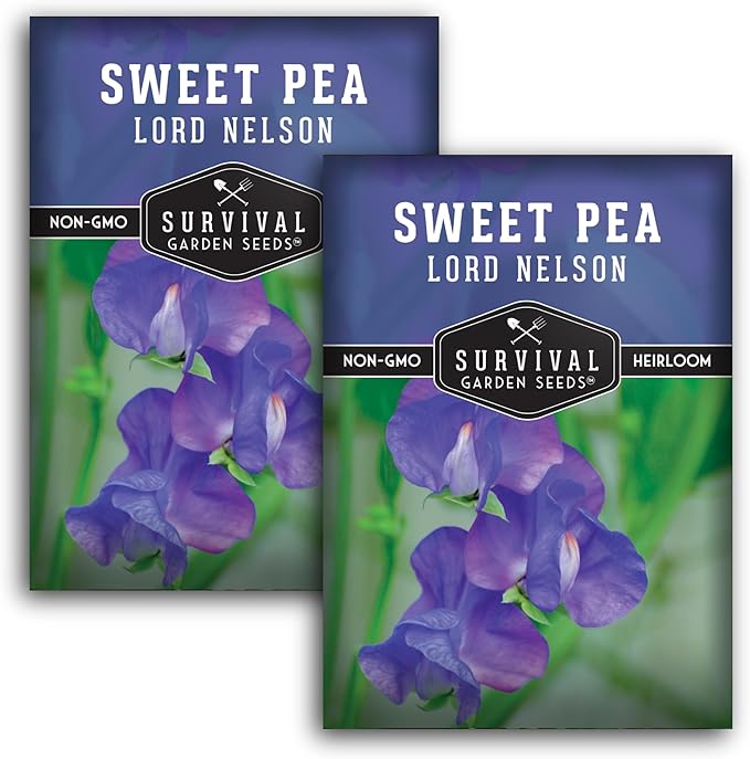 Blue Sweet Pea Seeds for Planting – Lord Nelson Heirloom Variety with Fragrant, Deep Blue Flowers on Tall Climbing Vines for Outdoor Gardens – Survival Garden Seeds (2 Packs)