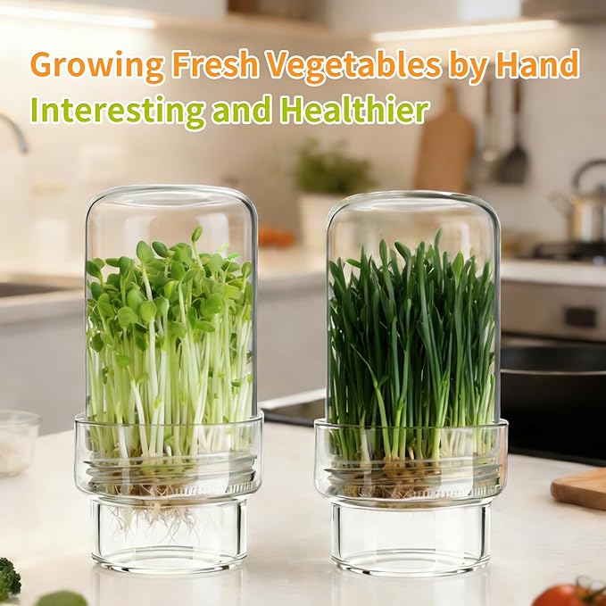 Updated Sprouting Kit - 2 Sprouting Jar Kits, Wide Mouth Quart Mason Jars | Broccoli, Microgreens, Alfalfa Sprout Jar | Perfect for Home Gardeners, Health Enthusiasts & Vegan Diets