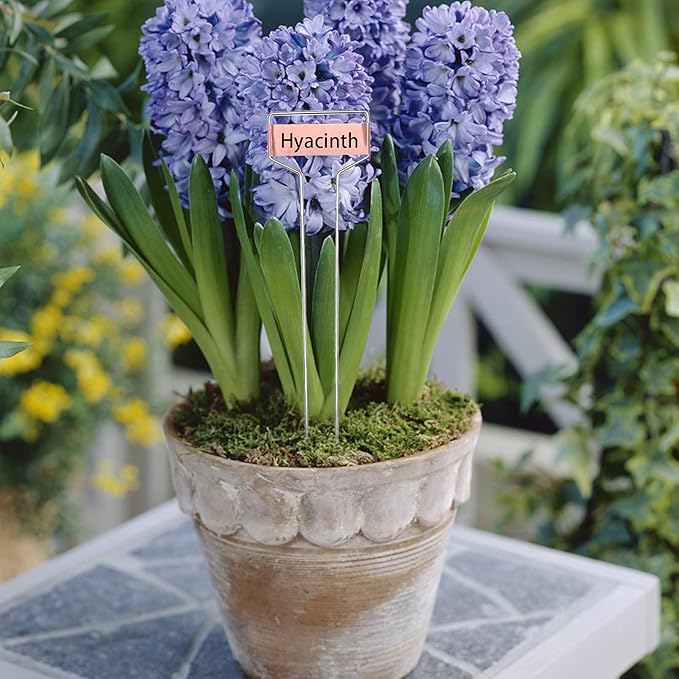 Wehhbtye 20 PCS 10 Inch Metal Plant Label Stakes-Copper Metal Plant Tags,High Copper Plate Plant Labels,Coppers Plant Tags with 1 Maker Pen for Flowers, Vegetables, Seedlings, Seed,etc