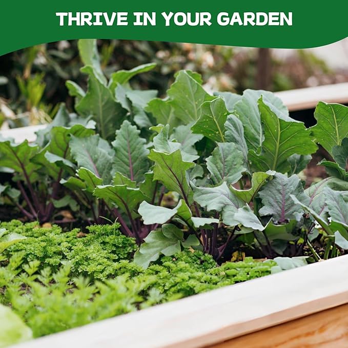 37 Vegetable Seeds - 18,000+ Non GMO Heirloom Home Garden Seeds for Planting Vegetables Indoor and Outdoors, Fruit and Vegetable Seeds Variety Pack with Tomato, Basil, Cucumber, Lettuce and More