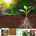 Coco Coir, Organic Coco Coir for Plants, Pressed Soil, Gardening Listed Coco Coir Bricks with Low Ec & Ph Balance - Compressed Coco Coir Bricks for Planting (Plant Coir Fiber Brick Set 4pcs)