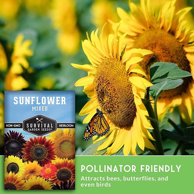 Mixed Sunflower Seeds for Planting | Colorful Blend of Heirloom Varieties for Cut Flowers & Pollinators – Heirloom Non-GMO – Survival Garden Seeds (1 Pack)