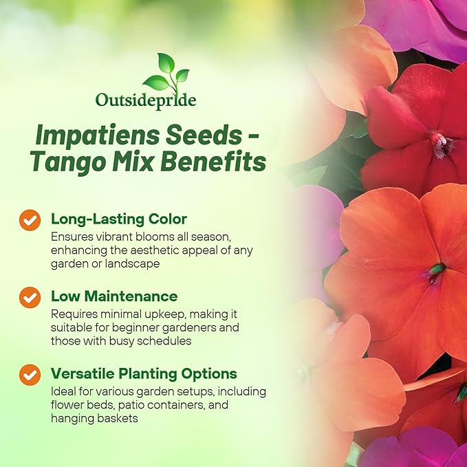 Outsidepride Xtreme Tango Mix Impatiens Flower Seeds - 200 Pcs Annual, Compact & Pollinator Friendly, Impatiens Seeds for Planting w/Vibrant, Abundant Blooms for Shade Gardens & Container Displays