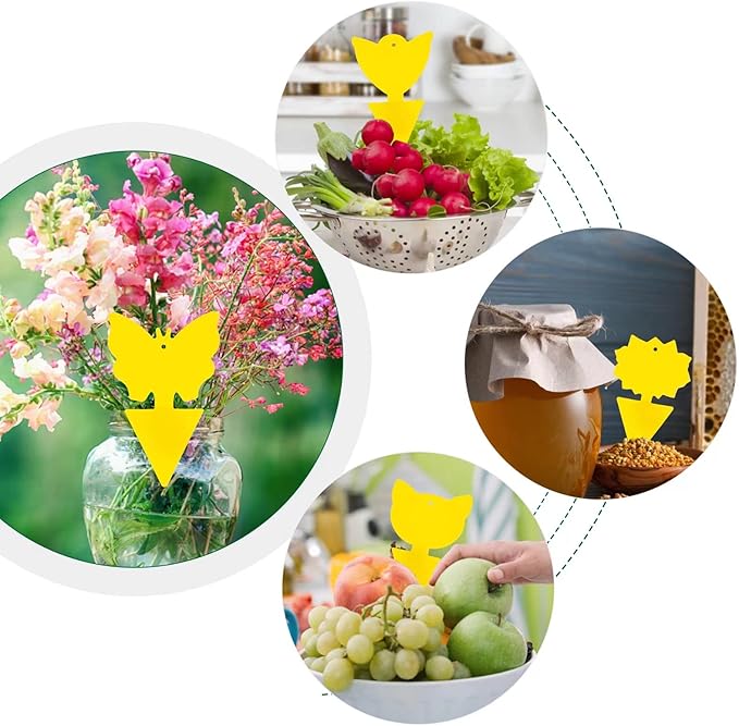 48 Pcs 4 Shapes Yellow Extremely Sticky Traps for Fungus Gnat, Fruit Fly, Fly, Whitefly, Flying Insect Catcher Traps for Houseplants, Kitchen, Indoor/Outdoor, Non-Toxic, Odorless, Pet & Kid Safe