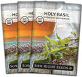 Sow Right Seeds - Holy Basil Tulsi Seed for Planting - Culinary Herb to Plant in Your Garden - Indoors or Outdoors - Ayurvedic Medicine and Tea - Non-GMO Heirloom Seeds - Great Gardening Gift (3)
