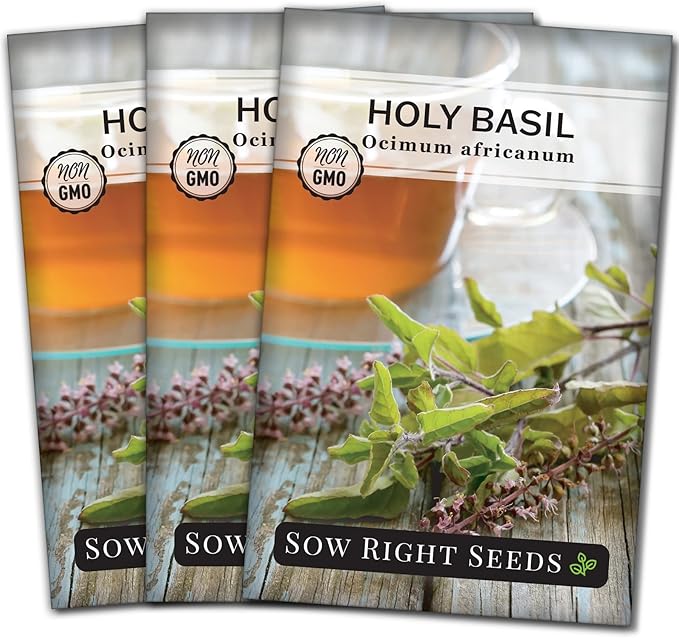Sow Right Seeds - Holy Basil Tulsi Seed for Planting - Culinary Herb to Plant in Your Garden - Indoors or Outdoors - Ayurvedic Medicine and Tea - Non-GMO Heirloom Seeds - Great Gardening Gift (3)