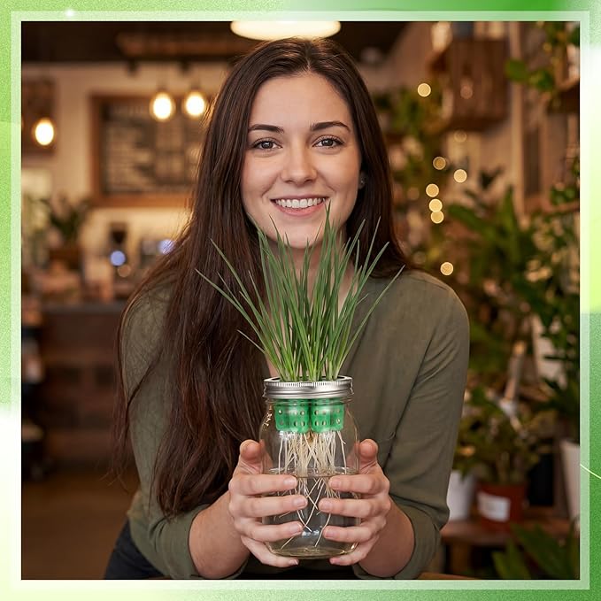 Seed Sprouting Set Green Onion Regrower Kit Includes Regrower Sprouting Lids and a Mouth Mason Jar for Sustainable Windowsill Gardens, Hydroponics, and Propagation Hydroponics Enthusiasts