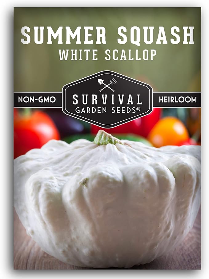Survival Garden Seeds - White Scallop Summer Squash Seed for Planting - Packet with Instructions to Plant and Grow Patty Pan Squash in Your Home Vegetable Garden - Non-GMO Heirloom Variety