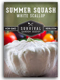 Survival Garden Seeds - White Scallop Summer Squash Seed for Planting - Packet with Instructions to Plant and Grow Patty Pan Squash in Your Home Vegetable Garden - Non-GMO Heirloom Variety
