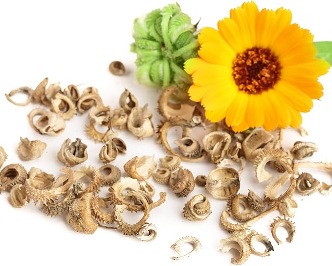 Seed Needs Calendula Seeds Pacific Beauty Mix | 5,000+ Seeds Calendula Officinalis Non-GMO Annual | Large Orange Yellow Blooms Garden Variety Favorite | Bulk Wildflower Seed