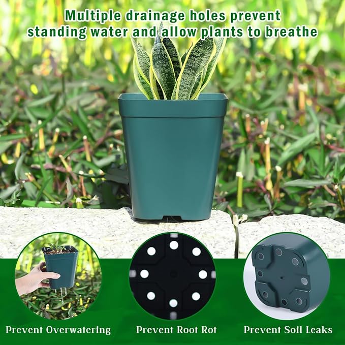 June Fox Small Seedling Pots 4 Inch, 100 Pcs Square Plant Pots Bulk, Plastic Nursery Pots with Drain Holes for Seedlings, Succulents, Cuttings (Green)