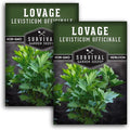 Survival Garden Seeds - Lovage Seed for Planting - 2 Packs with Instructions to Plant and Grow Perennial Levisticum Officinale Culinary Herb in Your Home Vegetable Garden - Non-GMO Heirloom Variety