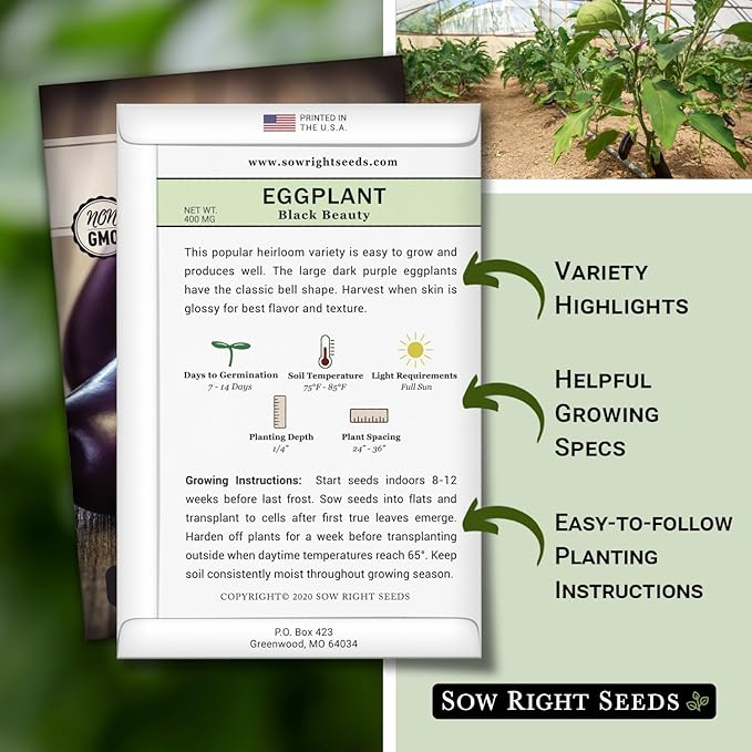 Sow Right Seeds - Black Beauty Eggplant Seed for Planting - Non-GMO Heirloom Packet with Instructions to Plant an Outdoor Home Vegetable Garden - Large Round Fruits, Deep Purple Variety (3)