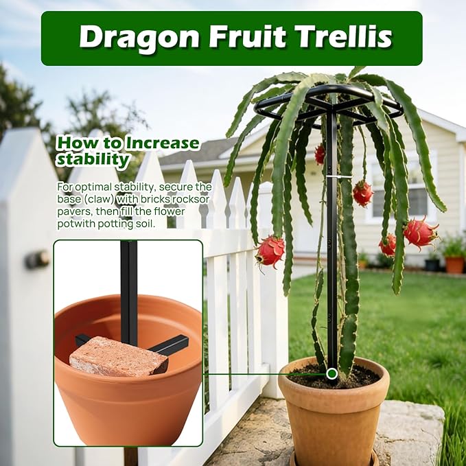 Extra Thick Adjustable Dragon Fruit Trellis,Durable Metal Plant Trellis Outdoor Climbing Plants Support Frame for Vertical Gardening Trees Cactus Black
