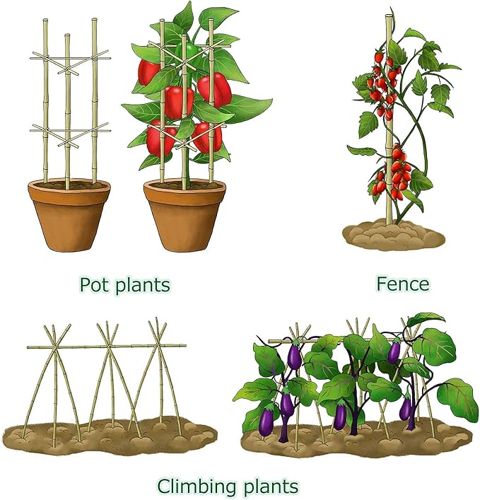 Bamboo Stakes 4ft Natural Plant Stakes for Tomatoes, Beans, Climbing Plants Support - 25 Pack Bamboo Sticks for Plants