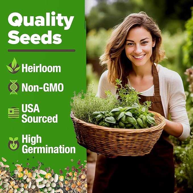 HOME GROWN Mint Seeds Variety Pack - 870+ Heirloom Non-GMO USA Peppermint, Spearmint & More - Herb Seeds for Planting Indoor Outdoor Garden - Fresh Mint for Tea & Cooking