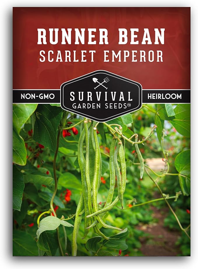 Scarlet Emperor Bean Seeds for Planting - Red Flowering Pole Beans & Ornamental Climbing Vine - Heirloom Non-GMO Pollinator-Friendly Variety for Vegetable Gardens - Survival Garden Seeds (1 Pack)