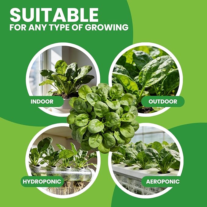 Bloomsdale Spinach Seeds for Planting 960+ Seeds - Non-GMO Heirloom Seeds High Germination Spinach for Indoor Outdoor Home Vegetable Garden - Abundance of Leafy Greens (Spinach Seeds)