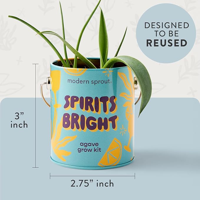 Modern Sprout Complimentary Seed Starter Grow Kits - Spruce, Eucalyptus, & Agave Seeds - Plant & Gardening Gifts That Grows with Love (Pack of 3)