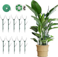 10 Pack Stackable Monstera Plant Support, 2025 New Plant Stakes for Indoor and Outdoor Plants Use, Garden Stakes for Climbing and Potted Plants, Pothos, Philodendron (10 Pack)