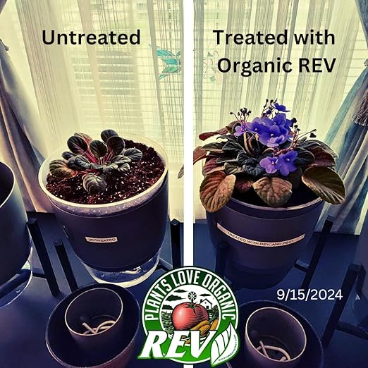 Organic REV Liquid Plant Growth Stimulant – OMRI Listed Organic Soil & Plant Supplement for Vegetables, Flowers & Lawns – Supports Root Development & Nutrient Uptake – 32 Ounce