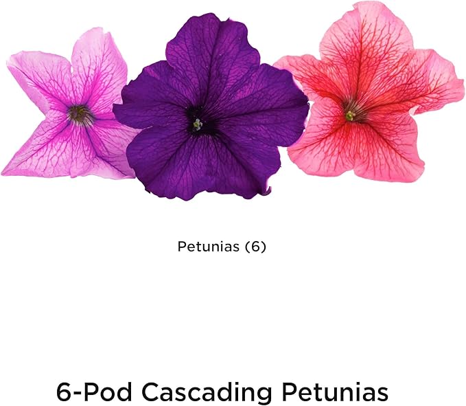 AeroGarden Cascading Petunias Seed pod Kit for AeroGarden Hydroponic Indoor Garden, 6-Pod