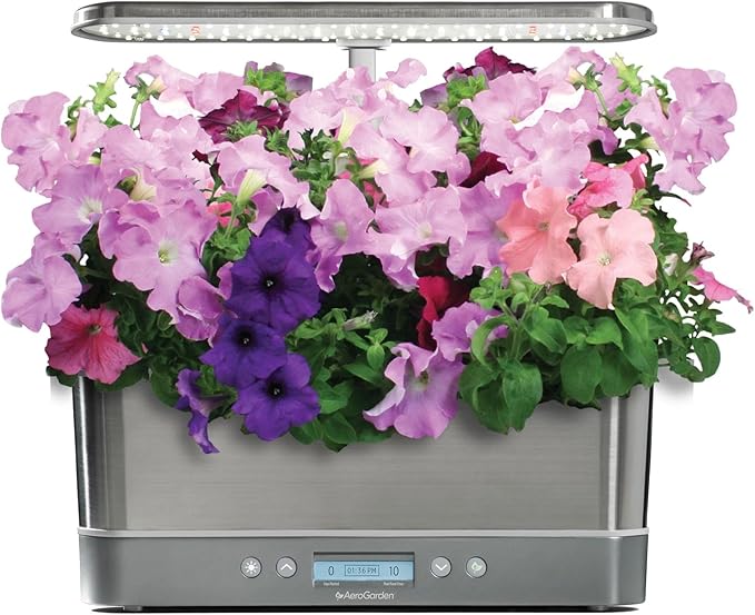 AeroGarden Cascading Petunias Seed pod Kit for AeroGarden Hydroponic Indoor Garden, 6-Pod