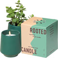 Modern Sprout Rooted Candle - 2 in 1 Tonka Bean Scented & Soy Candle with Seeds That Grows into Thyme Plant - 6 oz w/ 42 hr Burn time in Matte Glaze Ceramic Vessel Ideal for Indoor Herb Garden