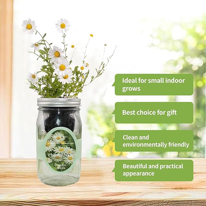 Hydroponic Herb Growing Kit, Self-Watering Mason Jar Herb Garden Starter Kit Indoor, Windowsill Herbs Garden, Grow Your Own Herbs from Organic Seeds (Chamomile)