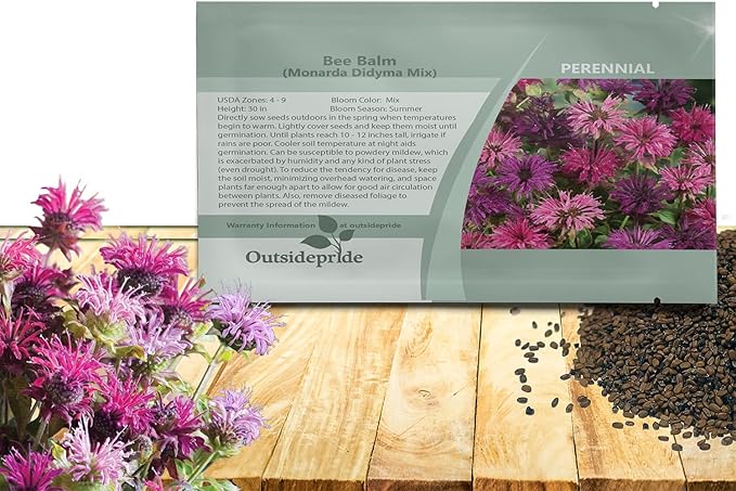 Outsidepride Bee Balm Mix Seeds - 1000 Pcs Perennial, Easy to Grow & Pollinator Friendly Monarda Didyma Flower Seeds for Planting Mint Scented Leaves & Edible Blooms, Ideal for Teas & Potpourri