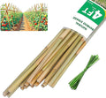 4ft Natural Bamboo Plant Stakes for Tomatoes, Beans, Flowers, Potted, Climbing Plants 30pcs