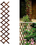 Expandable Garden Trellis, Wooden Lattice Wall Fence Trellis for Climbing Plants Ivy Vine Rose Clematis 13" x 68" for Outdoor Garden Patio Room Decor (1)