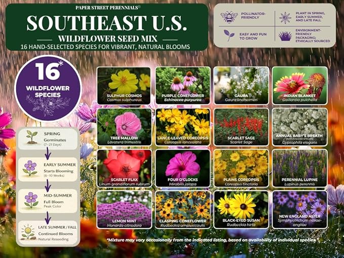 North Carolina Bulk Perennial Wildflower Seed Mix 1lb Covers 2,000sq-ft - Attract Pollinators, Multi-Color Blooms - Southeast US Species Plant in Spring/Fall, Earth-Friendly Packaging (1/2 Pound)