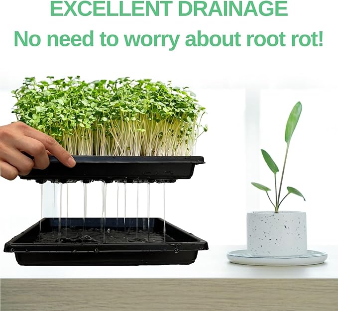 Plant Growing Trays for Seedlings Microgreen Seed Starter Shallow Plants Tray Drip Tray Standard 1010 Tray no Holes 5 Pack Black 10.7 x 10.7 inches Square Trays