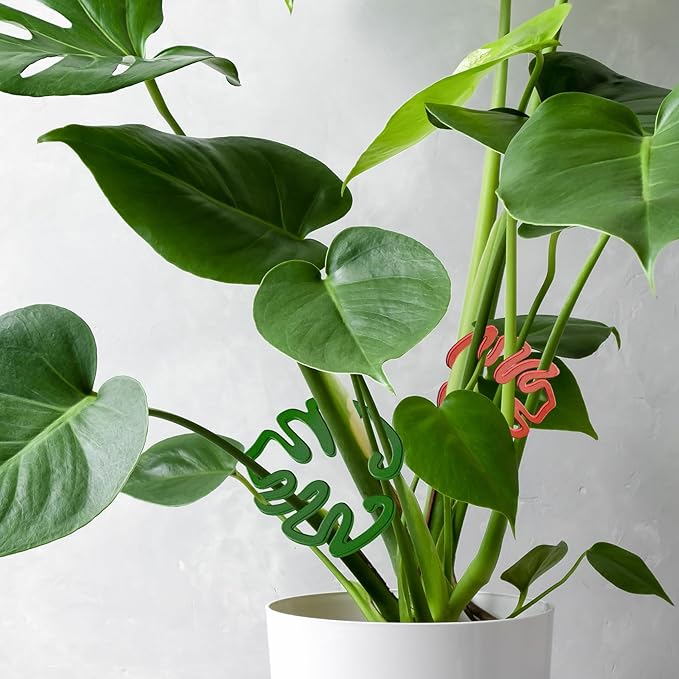 4PACKS Unique & Aesthetic Monstera Leaf Shape Grapple Plant Support, Grappler Rings, Plant Support Monstera with Ties, Keeps Plants Tame & Growing Vertical (red)