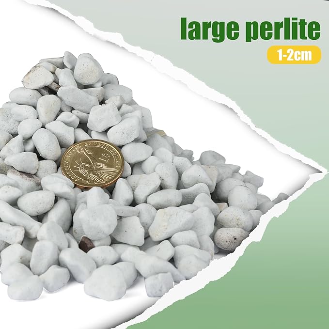 Organic Chunky Perlite for Plants (0.4"-0.8" in Diameter), Natural Horticultural Soil Additive Conditioner Mix, Improve Drainage and Ventilation, Enhance Soil Health and Root Growth (4 Quarts)