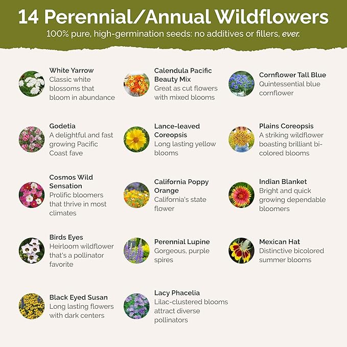 Eden Brothers North Dakota Wildflower Mixed Seeds for Planting, 1 oz, 30,000+ Seeds with Calendula, Sunflower | Attracts Pollinators, Plant in Spring or Fall, Zones