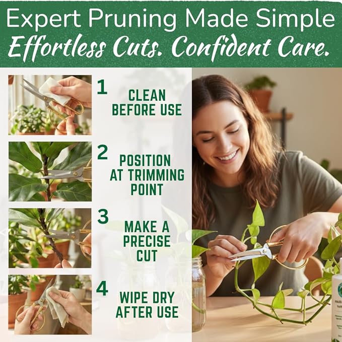 Premium Houseplant Scissors | 100% Stainless Steel, Ultra-Precise Garden Clippers for Propagation & Trimming | Rust-Resistant, Easy Clean Pruning Shears | Indoor & Outdoor | Comfortable & Ambidextrous