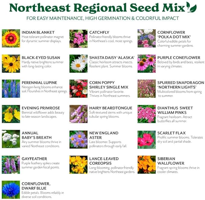 Grow Your Own Vibrant Annual and Perennial Wildflower Garden Seeds Mixture, Varieties for Pollinators and Spring Gardens - Northeast Regional Mix, 25 lbs