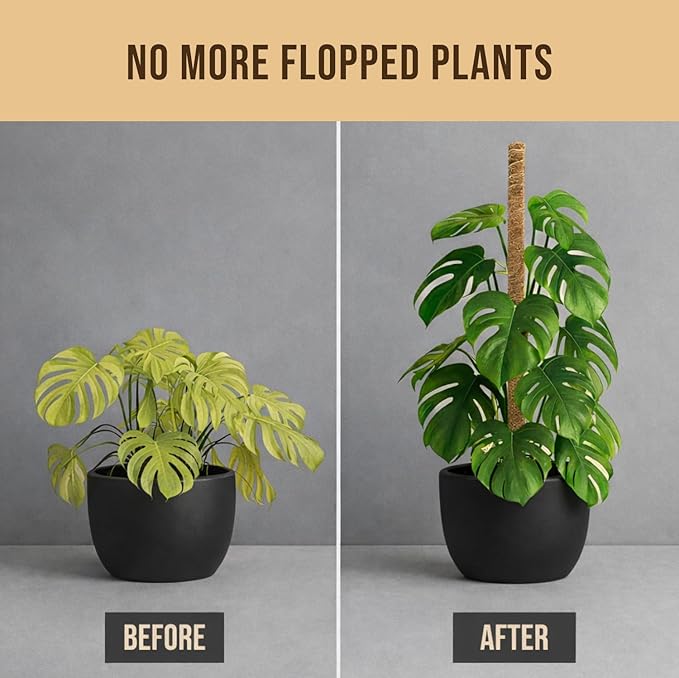 Craft911 Moss Pole Monstera Plant Support – 2 Pack 30” Bendable Moss Pole Monstera Plant Support, Plant Stakes for Indoor Plants, Tall Plant Sticks Support for Climbing Plants